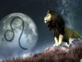 Lew na tle księżyca z symbolem Lwa. Nocne niebo pełne gwiazd. Ascendent w Lwie.