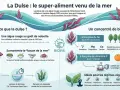 L'algue dulse, rouge et au goût de noisette, est un super-aliment de l'Atlantique Nord, surnommée "bacon de la mer". Elle est riche en fer et vitamine C.