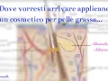 Illustrazione anatomica della pelle, con focus sulla ghiandola sebacea, per un efficace trattamento pelle grassa.