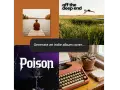 Vier Beispiele für album cover ai: Mann auf Steg, Sprung ins Gras, schwarze Rose mit "Poison", Schreibmaschine.