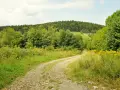 Kręta droga przez zielone wzgórza, w oddali las i skopiec szczyt.