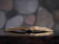 An open Bible reflects on a dark surface, symbolizing the scriptural basis for why Jehovah's Witnesses don't celebrate Christmas.