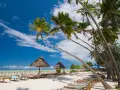 Rajska plaża z palmami i leżakami. Zastanawiasz się, ile się leci na Zanzibar? Tu odpoczniesz od zgiełku.