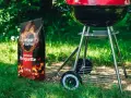 Brykiet czy węgiel na grilla – co wybrać dla idealnego smaku?