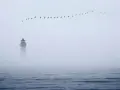 Ein Leuchtturm ragt aus dichtem Nebel, während eine Vogelschar über dem ruhigen Meerformationen zieht. Ein einsames Schiff im Nebel.