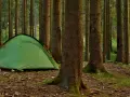 Zielony namiot i rowery czekają na nocleg pod namiotem w gęstym lesie.