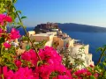 Vibrant pink bougainvillea frames a view of Santorini, Greece. People gather on ancient ruins overlooking the Aegean Sea, a perfect spot for sunset views.