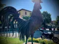 Gallo di metallo imponente, pronto per un giro in moto tra le Crete Senesi.