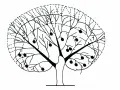 Schema di un albero di agrumi con frutti e indicazioni per la potatura. Il periodo ideale per la potatura agrumi è fondamentale per la salute della pianta.