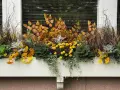 Herbstliche Bepflanzung in einem 80 cm Blumenkasten: gelbe Chrysanthemen, Gräser, Zierkohl und Herbstlaub.