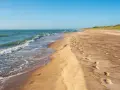 Spokojne, dzikie plaże nad Bałtykiem. Fale delikatnie obmywają piaszczysty brzeg, a na piasku widoczne są ślady stóp.