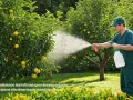 Ile wody utlenionej dla psa? Bezpieczne dawkowanie i ryzyko