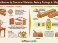 Ilustración sobre cómo detectar y aplicar tratamiento contra termitas en madera, mostrando signos de alerta, superficies vulnerables y métodos de aplicación.