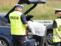 Kiedy policja może zbadać trzeźwość w domu? Poznaj swoje prawa!