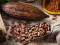 Kakao gesund: Kakaobohnen in Holzkiste, auf Löffel und verstreut, daneben eine Kakaofrucht und Kakaopulver.