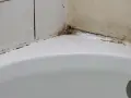 Coin de baignoire avec joints noircis et traces de moisissure salle de bain. Un coin de douche qui a besoin d'un bon nettoyage.