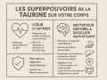 Les bienfaits de la taurine : cœur, digestion, antioxydant. Elle régule le rythme cardiaque, soutient les fibres musculaires et protège contre le stress oxydatif.