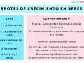 Tabla de brotes de crecimiento en bebés: edades y comportamientos asociados.