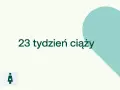23 tydzień ciąży. D+ ikona kobiety w ciąży na jasnym tle z turkusowym sercem.