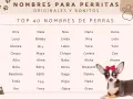 Lista imion dla suczki: Kira, Nala, Noa, Dana, Duna, Luna, Lola, Yuki, Zoe, Akane, Blossom, Dalma, Hada, Graci i wiele innych.