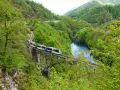 A train travels across a bridge over a river, surrounded by lush green mountains. This scenic route is part of the journey from Amsterdam to Zurich.