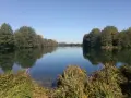 Ein ruhiger Baarer Weiher im Herbst, umgeben von Bäumen, deren Spiegelung sich im klaren Wasser bricht.