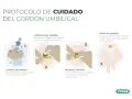 Guía para saber como limpiar el ombligo del bebe: lava manos, limpia el muñón con gasa y jabón neutro, sécalo bien para prevenir infecciones.