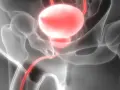 Urolog: Kiedy wizyta ratuje życie? Objawy i wiek mężczyzn