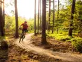 A person on a mountain bike navigates a sun-dappled forest trail, perfect for mountain biking for beginners.