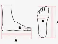 Illustrazione che mostra come misurare il piede: lunghezza (A) e circonferenza (B) con righelli.