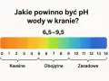 Jakie pH ma woda z kranu i dlaczego jest to ważne dla zdrowia?