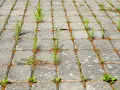 Skuteczne sposoby na usunięcie trawy z chodnika bez chemii