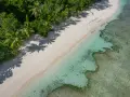 Rajska plaża z palmami i turkusową wodą. Czy Seszele są bezpieczne? Tak, to idealne miejsce na spokojny wypoczynek.