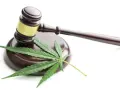 Młotek sędziowski i liść konopi symbolizują pytanie: czy CBD jest legalne?
