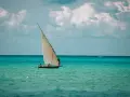 Tradycyjna łódź z żaglem na turkusowym morzu. Idealna pogoda na Zanzibarze w styczniu, by poczuć wiatr i słońce.