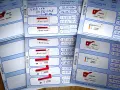 Ile czeka się na paszport dla psa? Sprawdź, by uniknąć opóźnień