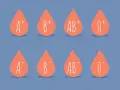 Osiem kropel krwi z oznaczeniami grup: A+, B+, AB+, 0+, A-, B-, AB-, 0-. Ilustracja pokazuje podstawy grup krwi dziedziczenie.