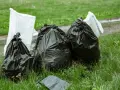Workmen's bags of garden waste sit on grass. Czy można wywieźć gałęzie do lasu? To pytanie zadaje sobie wielu.
