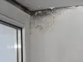 Angolo di una stanza con evidenti macchie da infiltrazione d'acqua e muffa sul muro e sul soffitto vicino a una finestra.