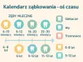 Ile zębów mlecznych ma Twoje dziecko? Odkryj ważne informacje