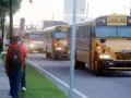 Schüler gehen zur Schule, während gelbe Schulbusse vorbeifahren. Denken Sie über die Kosten nach: wie viel kostet ein Auslandsjahr in Amerika?