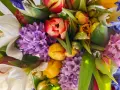 Kolorowe bukiety wiosenne: fioletowe hiacynty, żółte i czerwone tulipany, białe kalie i niebieskie irysy tworzą radosną kompozycję.