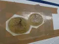 Reparaturstelle an einem Boot, bereit für das gelcoat erneuern. Zwei runde, faserige Füllungen sind mit Klebeband abgedeckt.