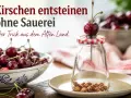 Kirschen entkernen ohne Sauerei: Ein Trick aus dem Alten Land zeigt, wie es geht. Ein Kirschkernentkerner drückt den Kern durch die Frucht in ein Glas.