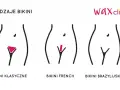 Ilustracja przedstawia trzy rodzaje depilacji bikini: klasyczne, french i brazylijskie.