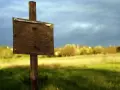 Drewniany znak na polu, jak sprawdzić granice działki? Tło z chmurami i drzewami.