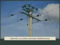 Słup energetyczny z przewodami i izolatorami, jeden z wielu rodzajów słupów energetycznych.