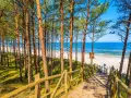 Ścieżka przez sosnowy las prowadzi do jednej z najpiękniejszych plaż w Polsce. Biały piasek, turkusowe morze i błękitne niebo tworzą rajski widok.
