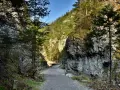 Kamienista ścieżka prowadzi przez wąwóz do drewnianego mostku. Idealne miejsce, gdzie na spacer w Zakopanem, wśród skalnych ścian i zieleni.