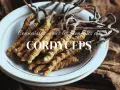 Des cordyceps séchés dans une assiette blanche, évoquant les bienfaits de cette plante médicinale.